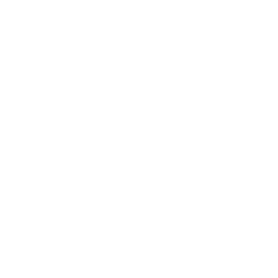 The Bongo Club